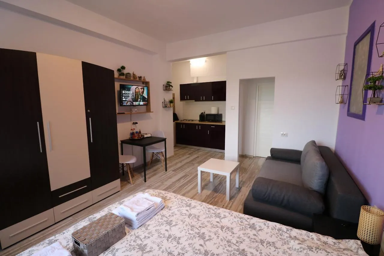 Charming Cozy Studio - Old Town - Free Minibar Apartment Bucharest