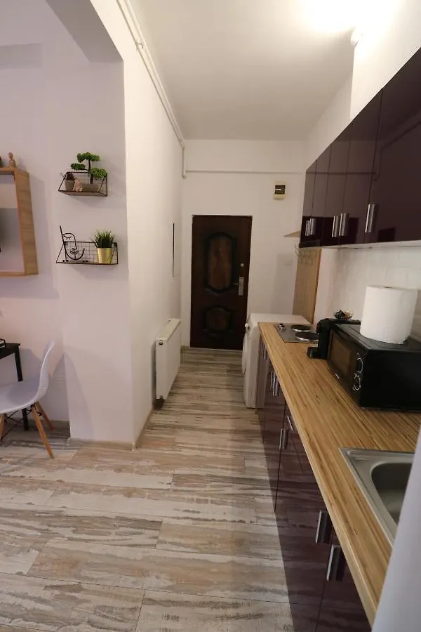 Charming Cozy Studio - Old Town - Free Minibar Apartment Bucharest